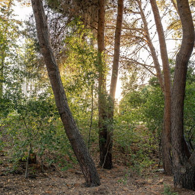 Ojai location rental for commercial and advertising photography and video campaigns