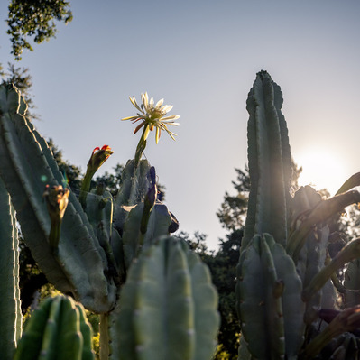 Ojai location rental for commercial and advertising photography and video campaigns