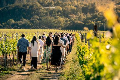 Wine event photography by Timothy Hogan in Los Angeles for Robert Mondavi Winery