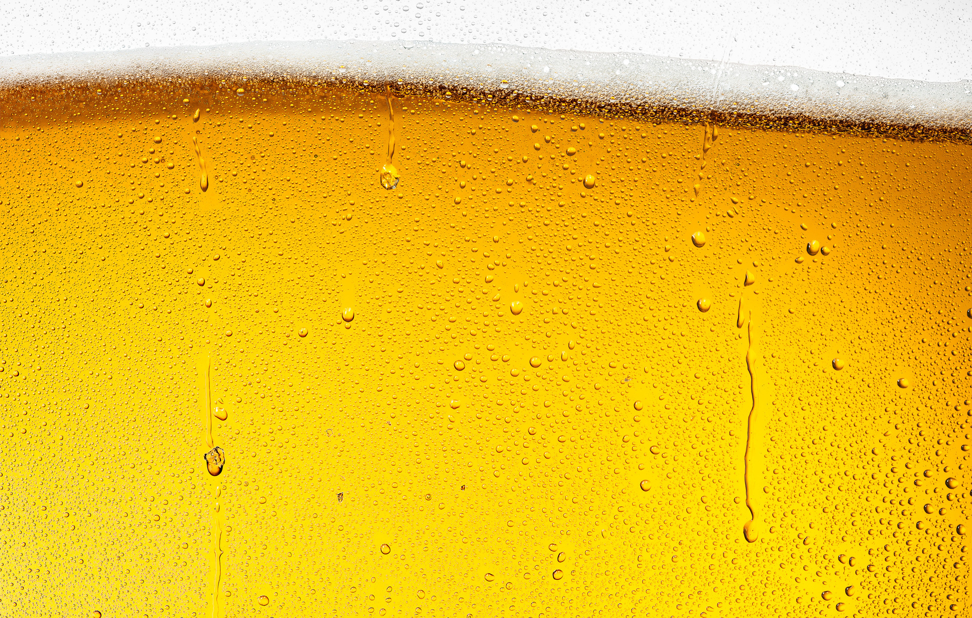 Miller High Life beer pint by beverage product photographer Timothy Hogan