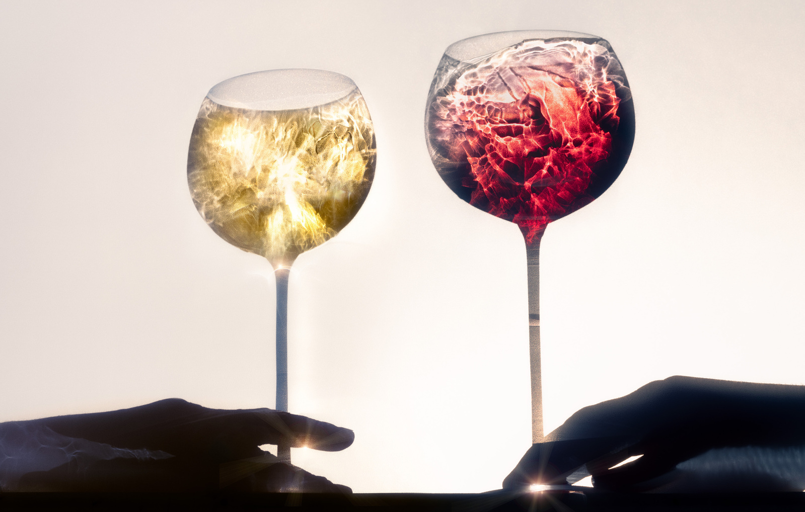 Wine event photography Advertising photography, product photography and beverage photography by commercial beverage photographer and still life photographer Timothy Hogan in Los Angeles 