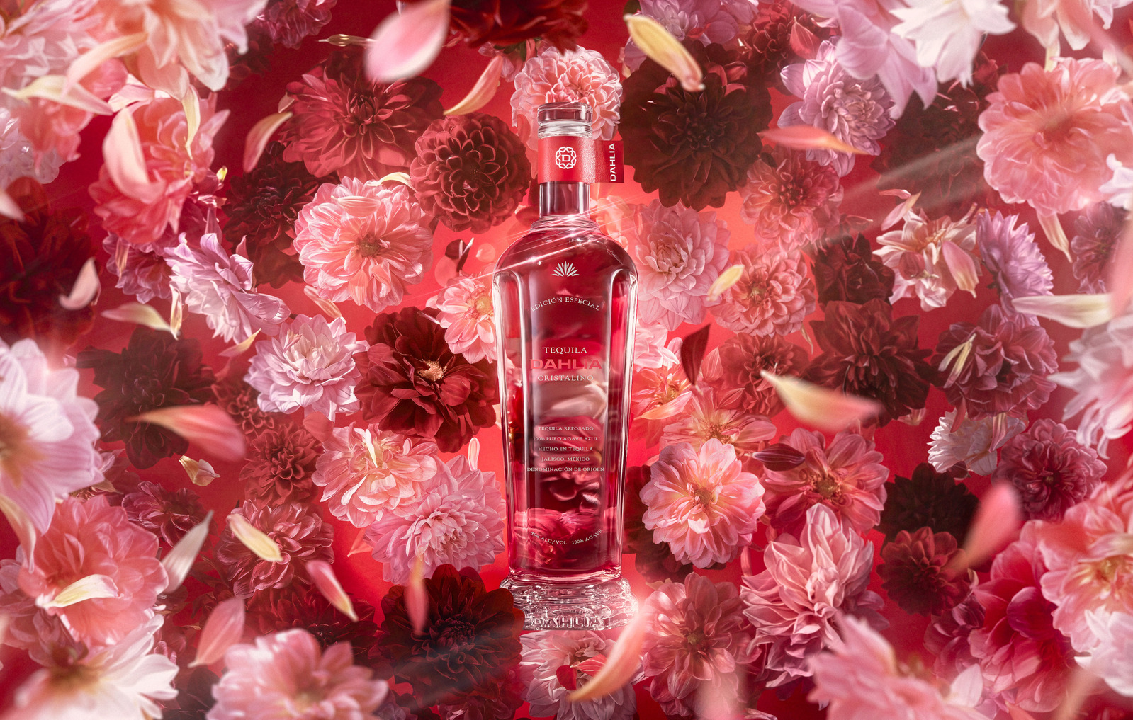 Commercial beverage photography for advertising campaigns by product photographer and commercial video director Timothy Hogan in Los Angeles