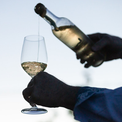 Wine event photography by Timothy Hogan in Los Angeles for Robert Mondavi Winery