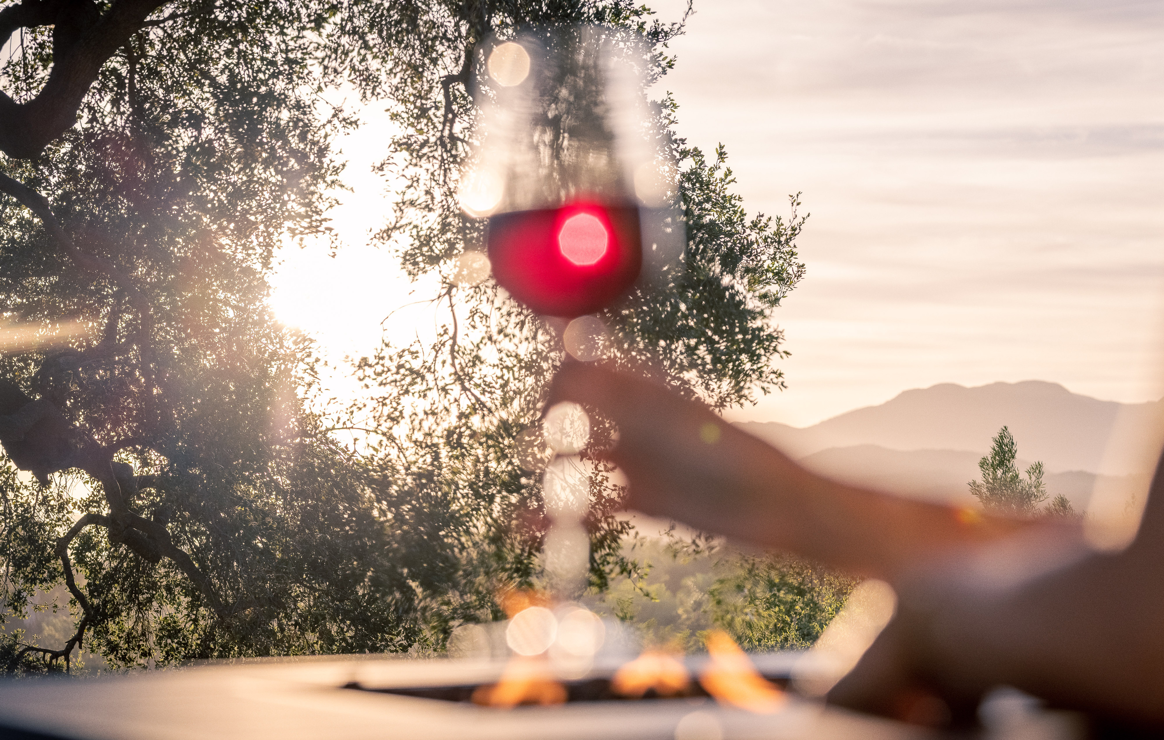 On-location Wine glass photography by Timothy Hogan in Los Angeles for Robert Mondavi Winery
