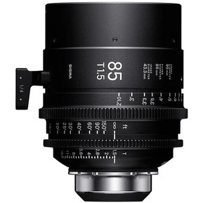 Sigma 85mm full-frame lens. This lens delivers creamy bokeh and sharp subject isolation, making it a favorite for portrait-style commercial photography and advertising visuals.