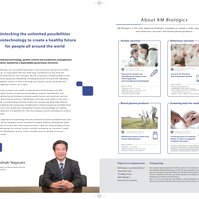 Writing copy for KMB's corporate brochure.