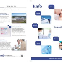 Writing copy for KMB's corporate brochure.