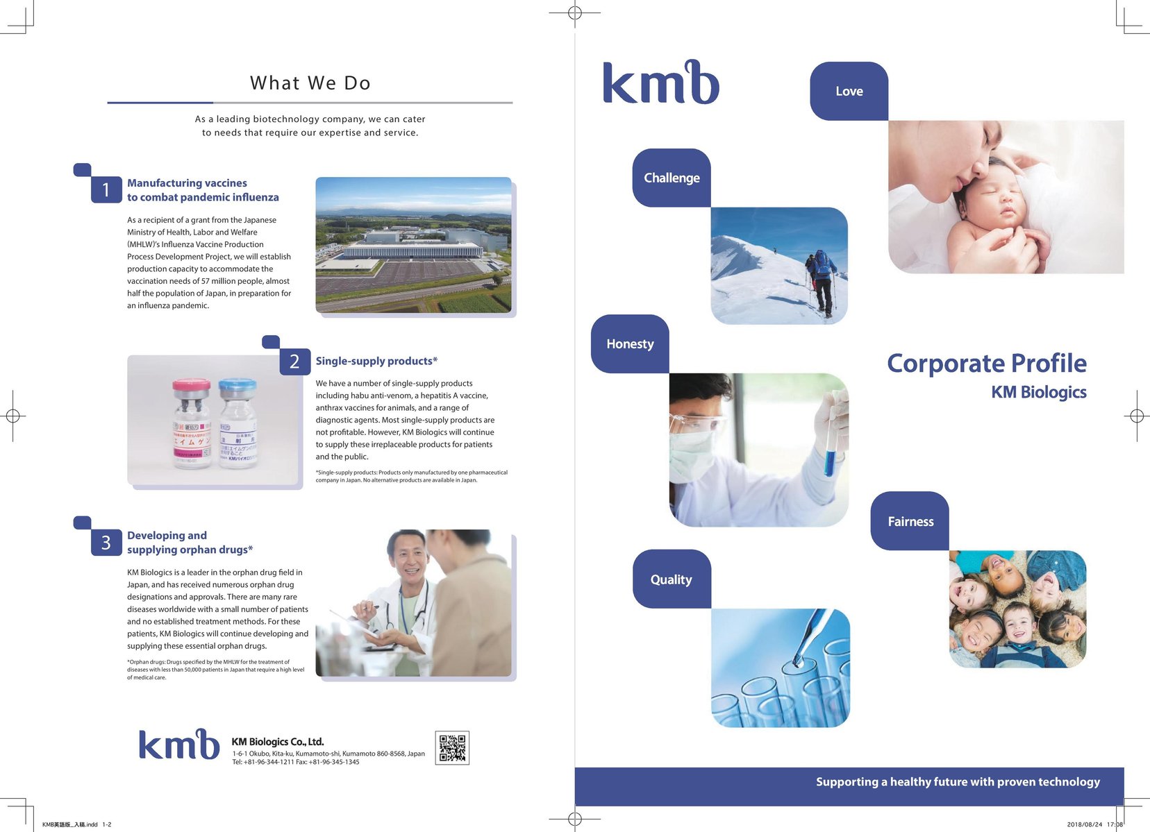 Writing copy for KMB's corporate brochure.