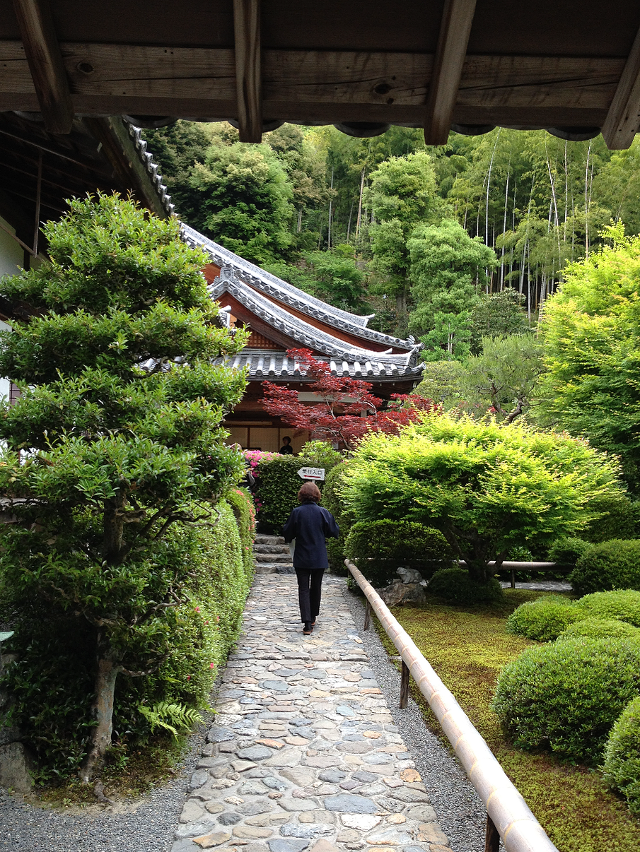 Tourist walking through the grounds of Suzumushi temple, Kyoto.
