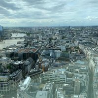 A view from the Sky Garden. 