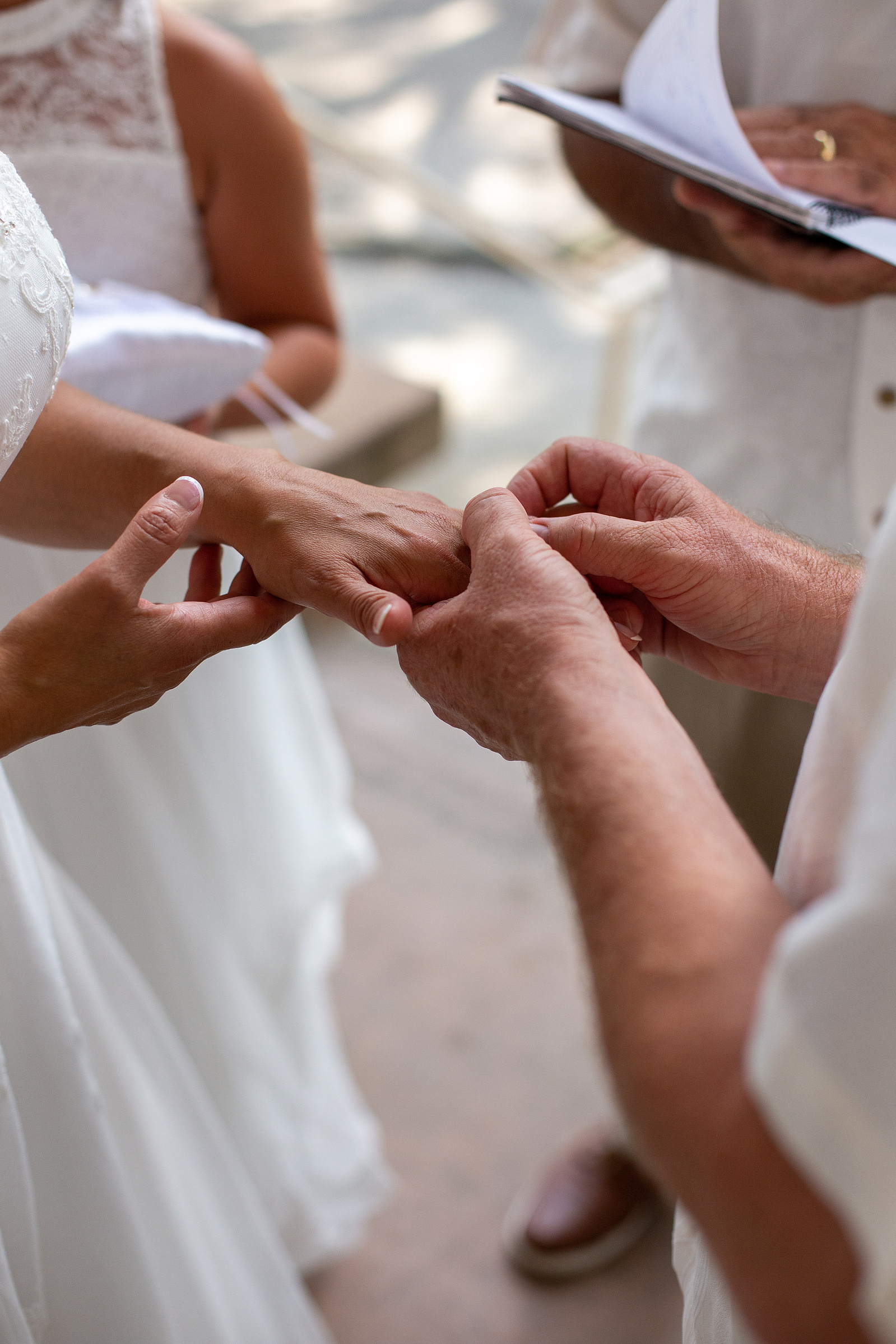 Holy matrimony, marriage, rings, exchange, Charleston South Carolina, South Carolina, low country, white, gold, love.
