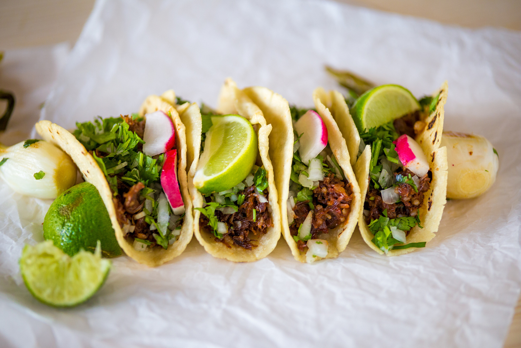 color, tacos, lime, cilantro, garlic, food, South Carolina