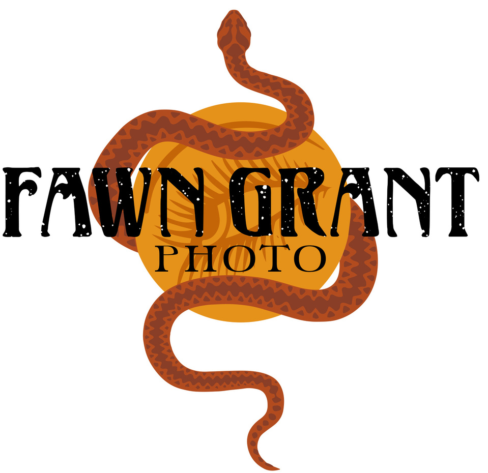 Fawn Grant Photo