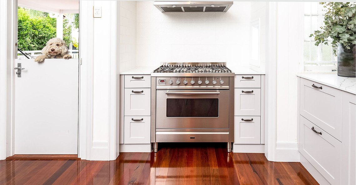 Stainless steel, gas cooktop with a white, patterned wall behind and a fluffy beige dog peaking out from behind a door