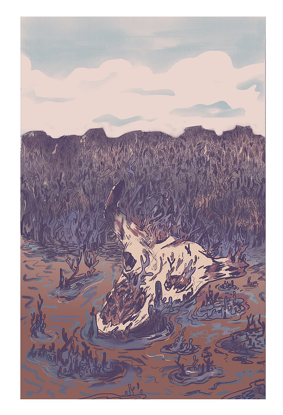 illustration by Kirsty Hambrick