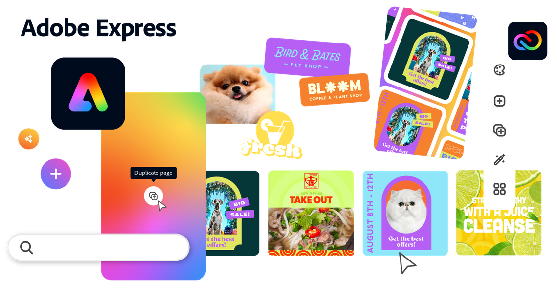 Graphic elements of Adobe Express social networking campaigns with pictures of tasty food and cute animals on templates, with logos and graphic sets