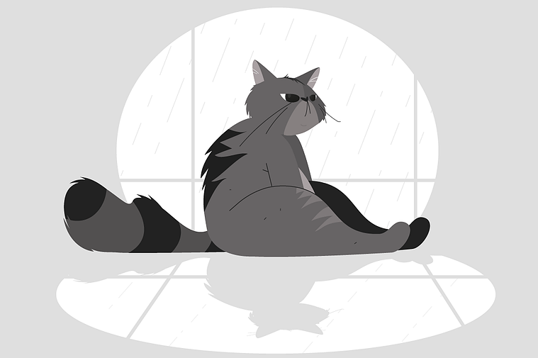 Michel's masterclass in cat apathy: slouched sitting pose expressing ultimate boredom, contrasting with rainy window backdrop.