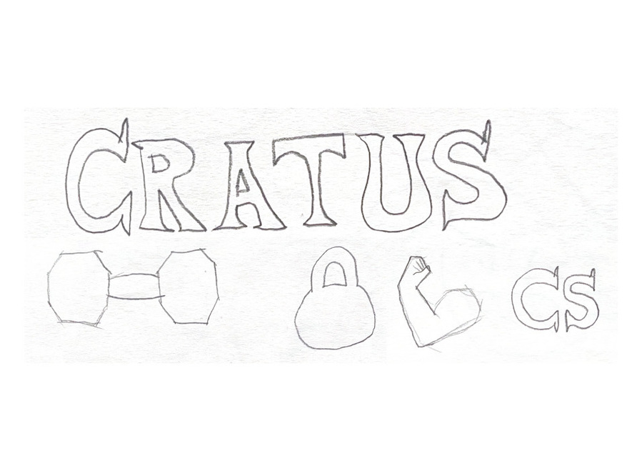 Sketches I made of logo ideas, including a wordmark, a dumbbell, a kettlebell, an arm flexing, and a "CS" initial.