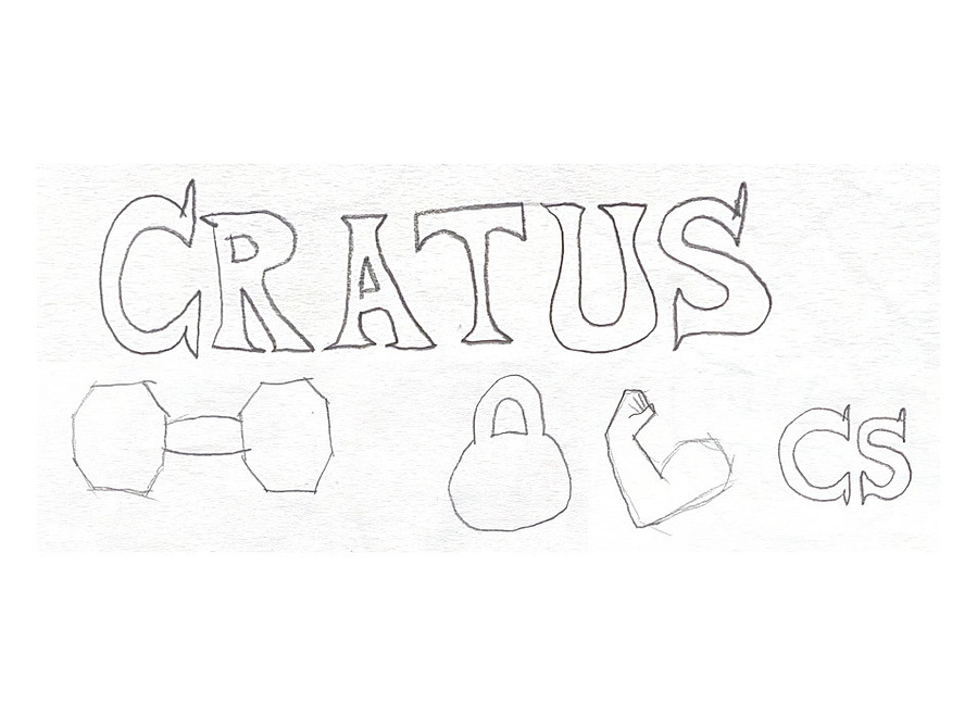 Sketches I made of logo ideas, including a wordmark, a dumbbell, a kettlebell, an arm flexing, and a "CS" initial.