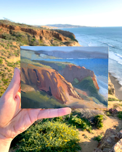 Sean Hnedak Torrey Pines Clifs Plein Air San Diego California