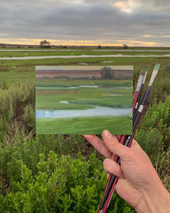 Torrey Pines Marsh Painting Art 