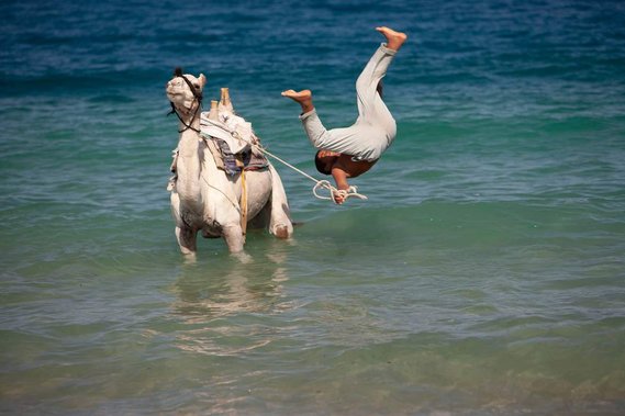 A Bedouin boy uses is camel as a diving platform to do a flip in the Gulf of Aqaba. 