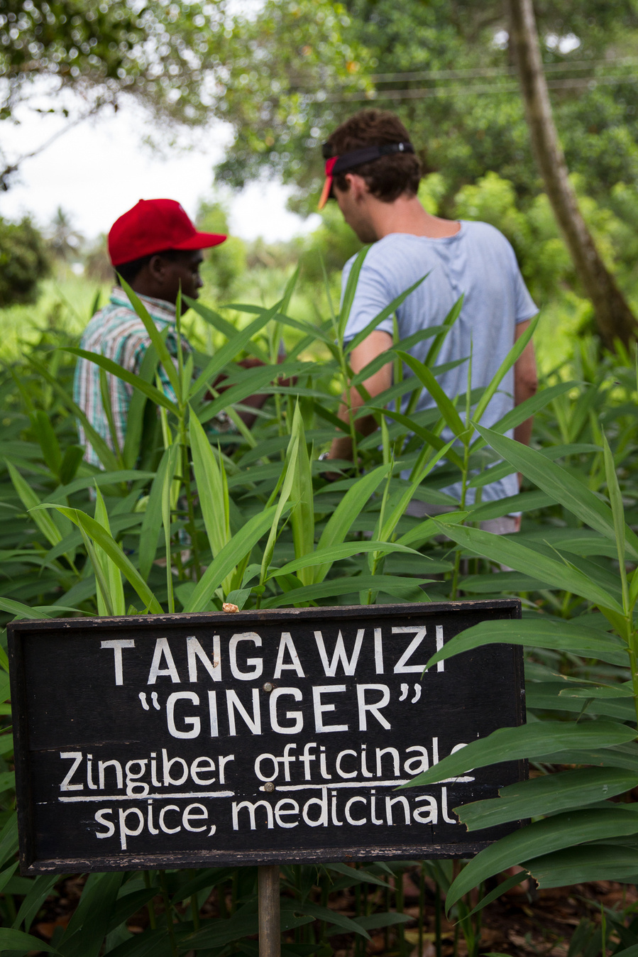 Zanzibar, Spice Island, Tanzania, Africa, Erin van der Wyk, Erin van der Wyk Photography, Travel Photography