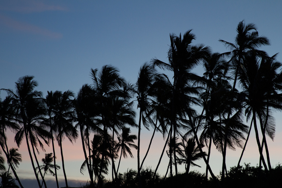 Zanzibar, Spice Island, Tanzania, Africa, Erin van der Wyk, Erin van der Wyk Photography, Travel Photography