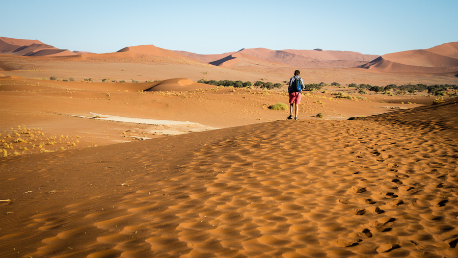 Namibia, Africa, Sossusvlei, Erin van der Wyk, Travel, Erin van der Wyk Photography