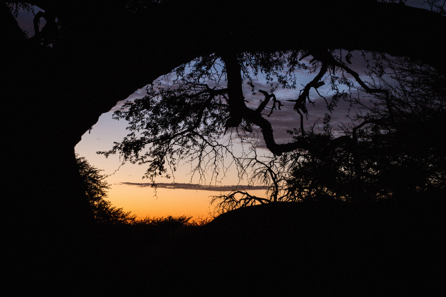 Namibia, Road Trip, Erin van der Wyk, Erin van der Wyk Photography, Travel Photography, Africa, Waterberg Plateau