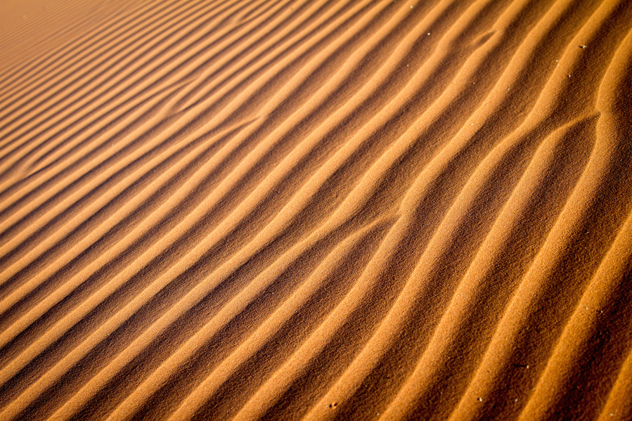 Namibia, Road Trip, Erin van der Wyk, Erin van der Wyk Photography, Travel Photography, Sossusvlei, Africa