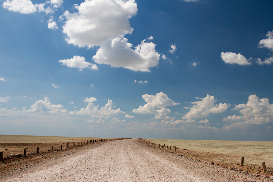 Namibia, Road Trip, Erin van der Wyk, Erin van der Wyk Photography, Travel Photography, Africa, Etosha National Park