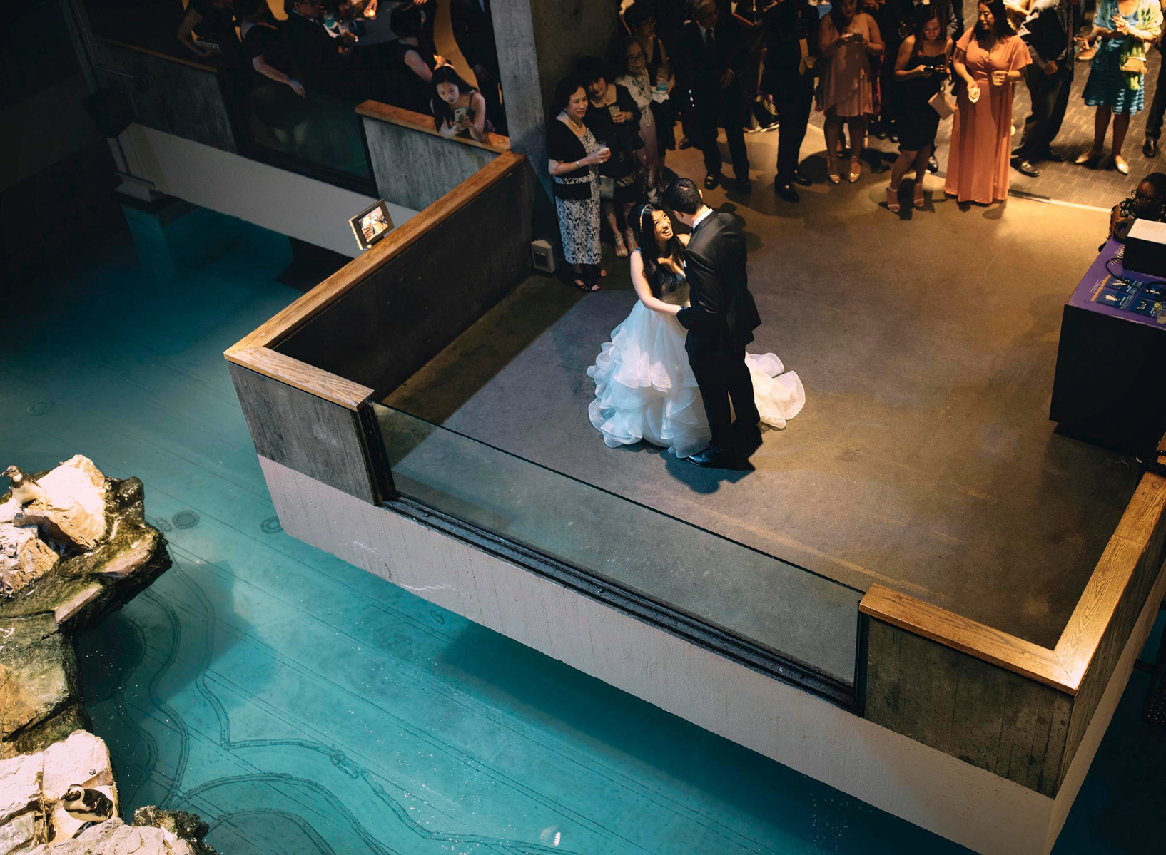 A wedding ceremony inside New England Aquarium