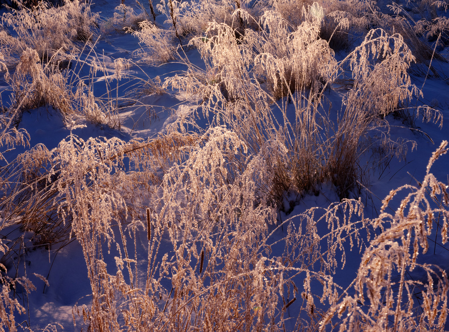 Color Photography, Iceland, Ice, Snow, Grass, Blue