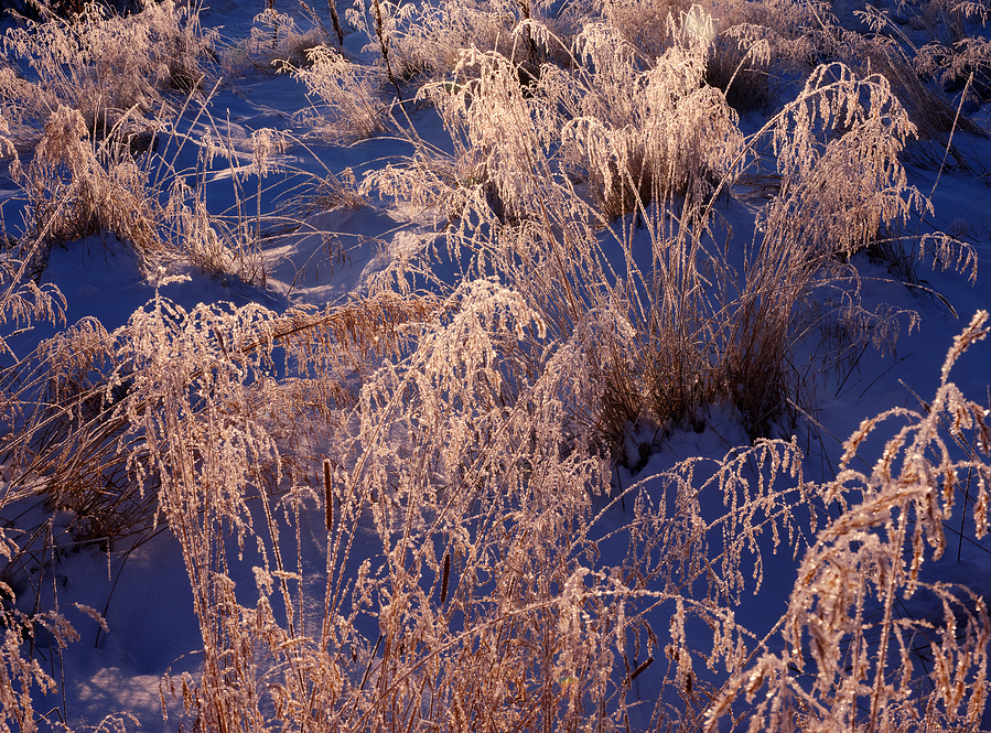 Color Photography, Iceland, Ice, Snow, Grass, Blue