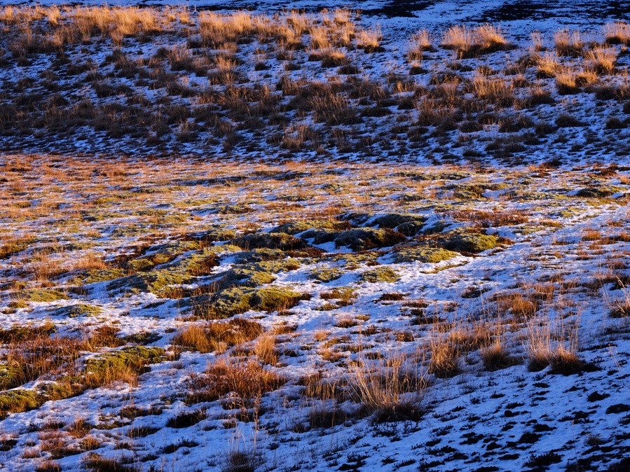 Color Photography, Landscape, grass, Iceland, Blue, Green, Gold, Yellow, abstract