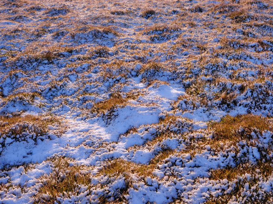 Color Photography, Iceland, grass, snow, sunset, blue gold, abstract