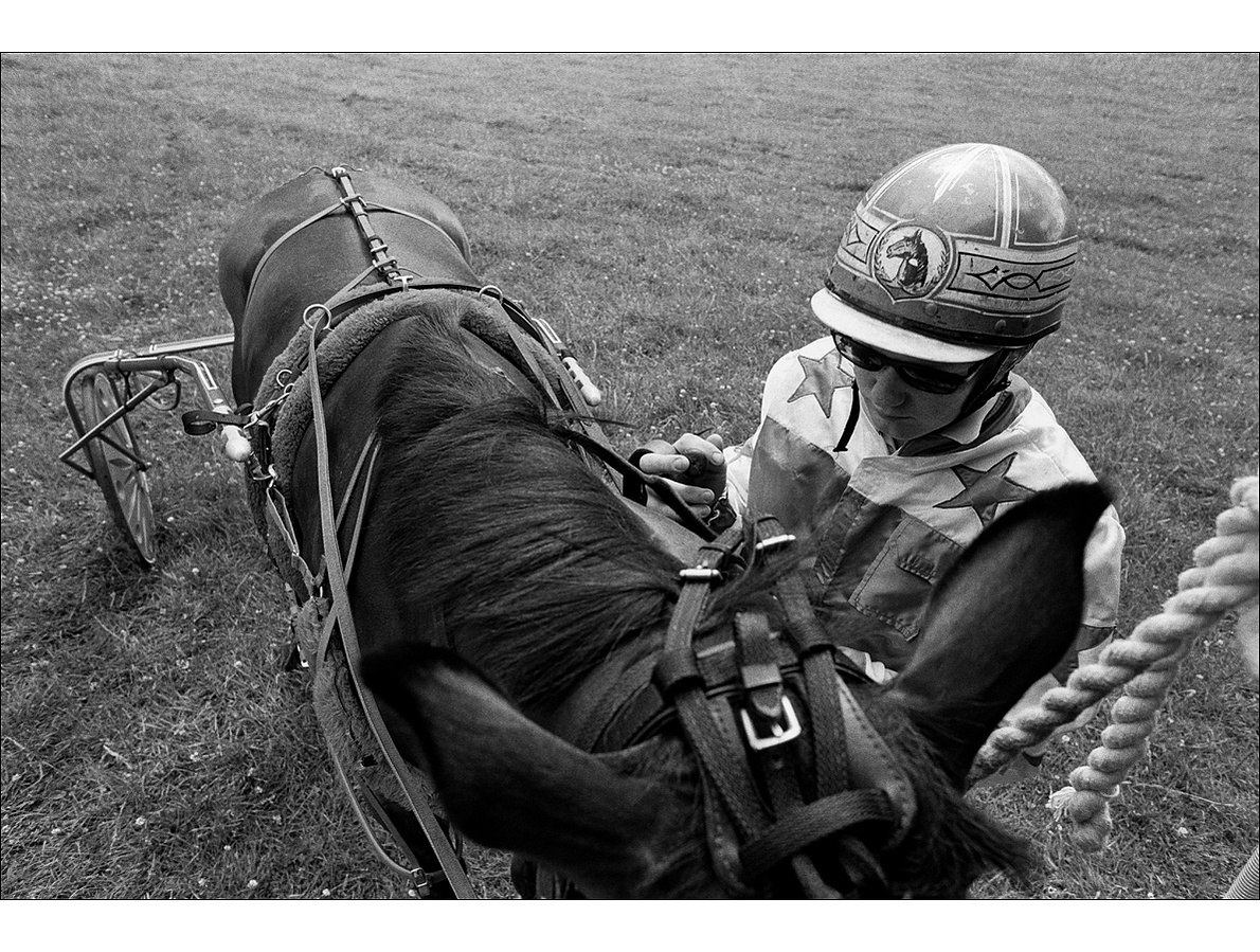 A harness racing driver prepares a horse for a race, he is wearing silk colours and a helmet with the emblem of a horse front and centre.