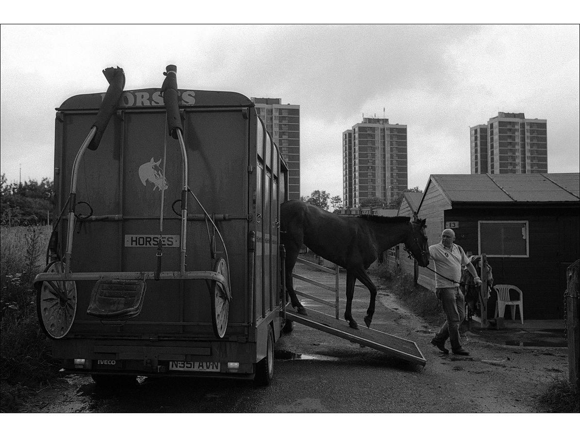 A bald man leads a horse down a ramp at the side of a horse trailer towards stables, while three tall tower blocks dominate the skyline behind the stables.