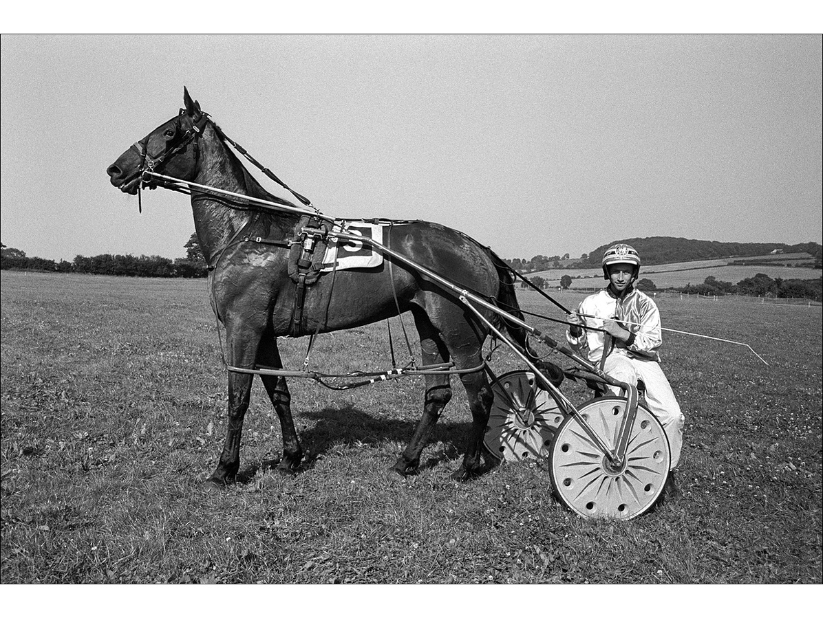 Portrait of a harness racing horse and driver having just won a race. The horses veins are protruding and it is covered in sweat. The driver smiles while holding his whip, rolloing fields behind.
