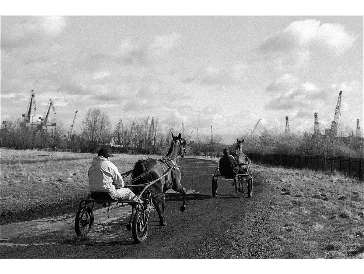Two men sit on traps behind horses trotting on a gravel track in winter sunshine, with the giant cranes of a ship building port beyond the leafless trees in the distance.