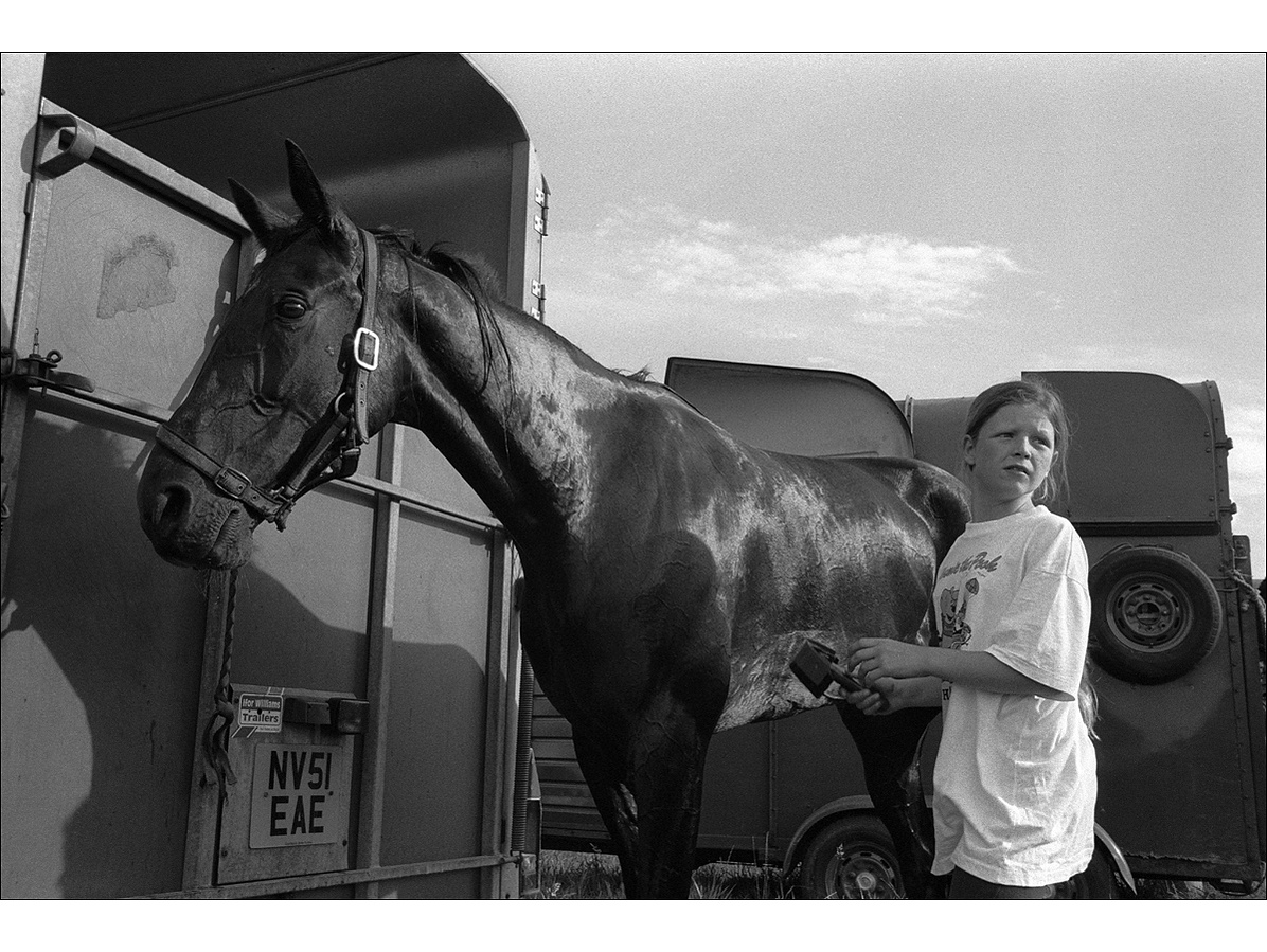 A young girl in a white t-shirt takes care of a sweating standardbred horse after its harness race, at the back of a horse box.