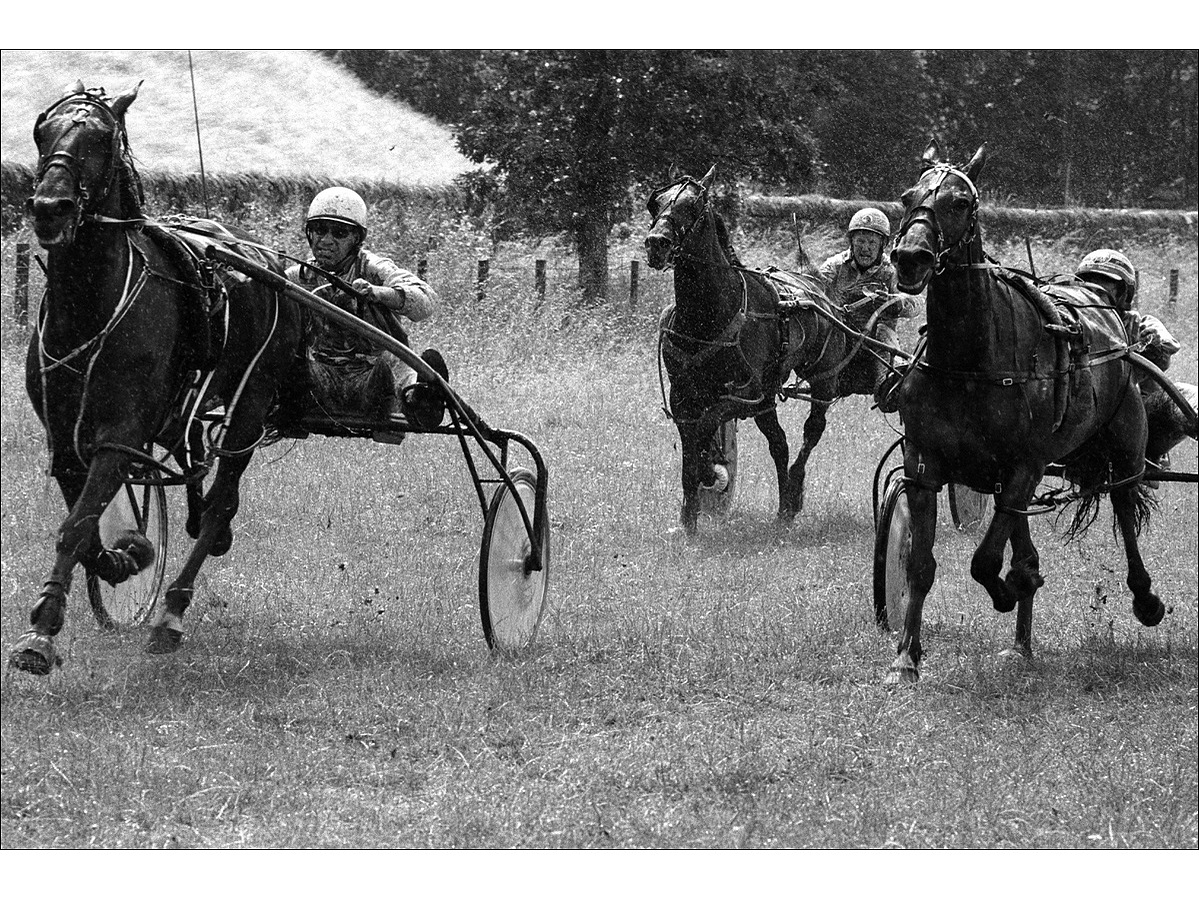 Three horses and traps are driven by their determined drivers for the finishing line on the final straight of a harness race, as soil is kicked up by the horse's hooves.