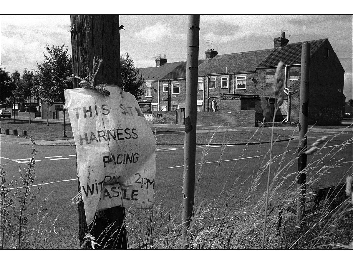 A makeshift sign advertising harness racing, tied to a telegraph pole next to a road, with a row of terraced houses on the other side of the street, one of which is boarded up.