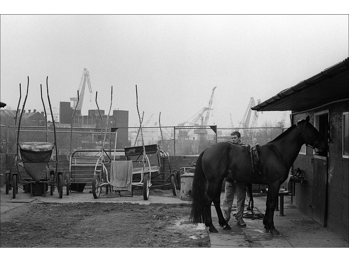 A young man grooms a horse at a stables with various harness racing traps stood behind them, and in the distance the cranes of Wallsend's Swan Hunter's ship building yard point skywards.