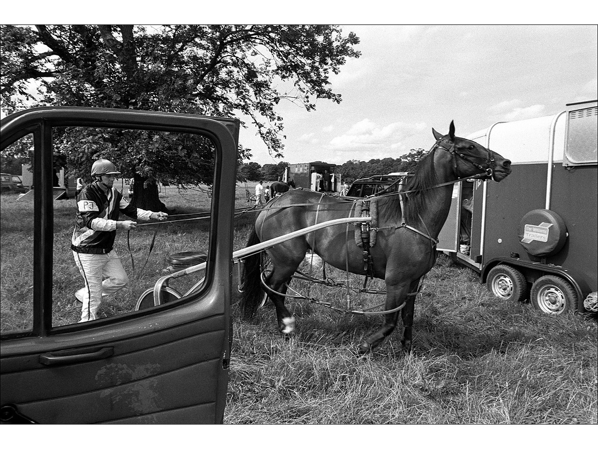 A harness racing driver holds the reins of his horse, walking it across long grass, between horse boxes, to the start of a race.