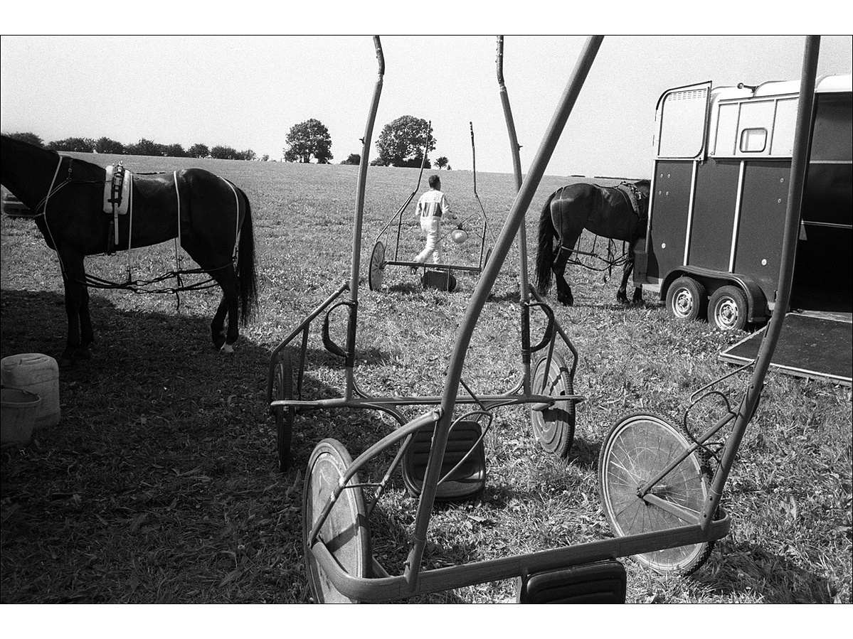 Three harness racing traps stand with their arms in the air as a driver walks past behind them, two horses stand in the summer sunshine, one on the left and the other on the right, next to a horse car.