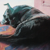 Black dog waiting at the door