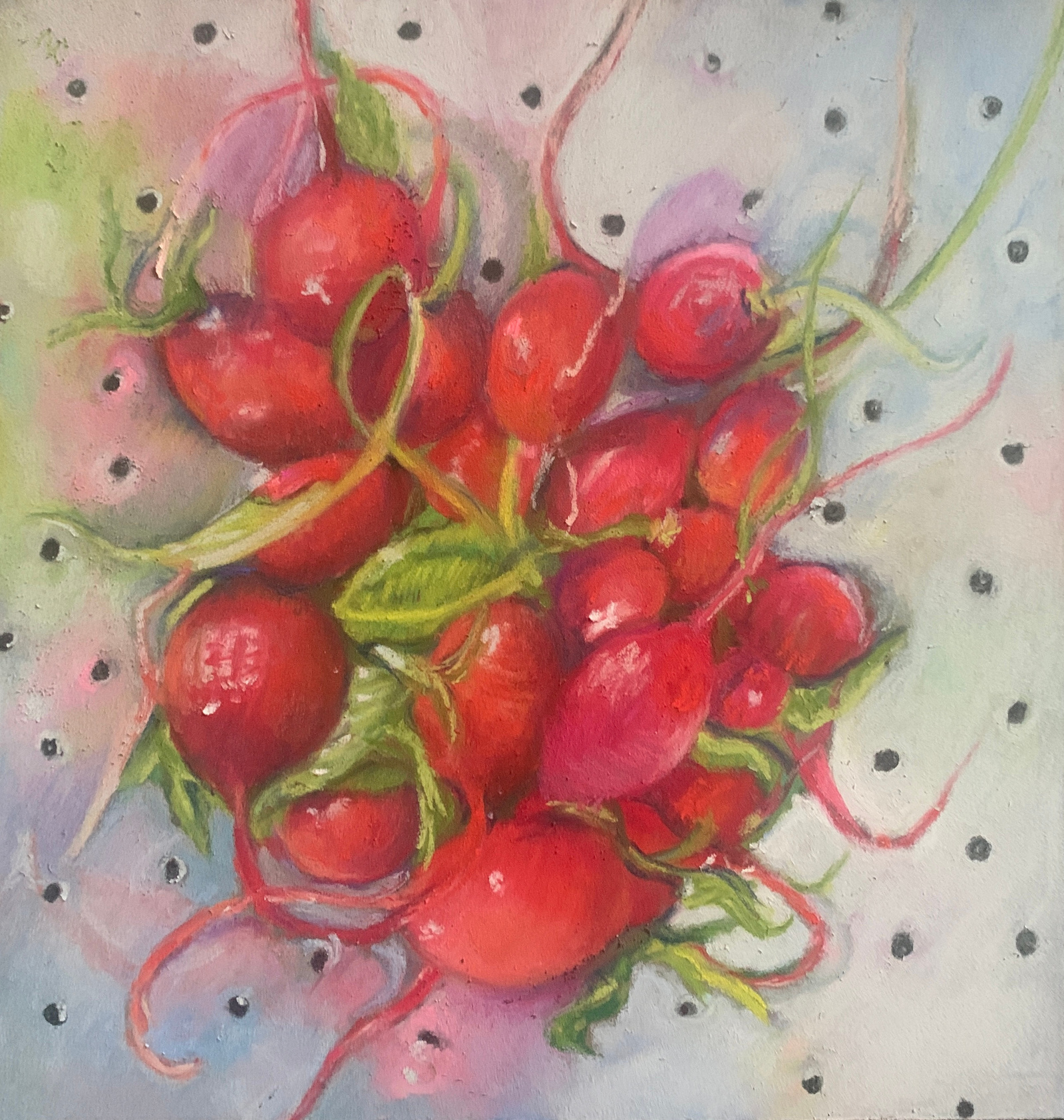 A bunch of vibrant radishes and their reflection in a colander