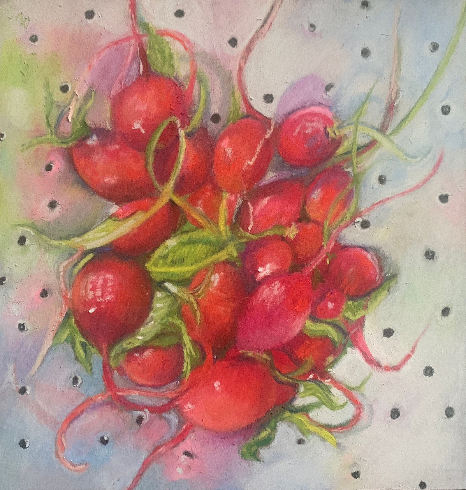 A bunch of vibrant radishes and their reflection in a colander
